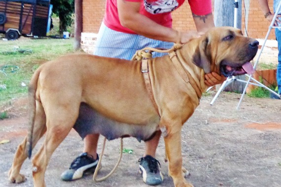 Lara Chão de Goiás