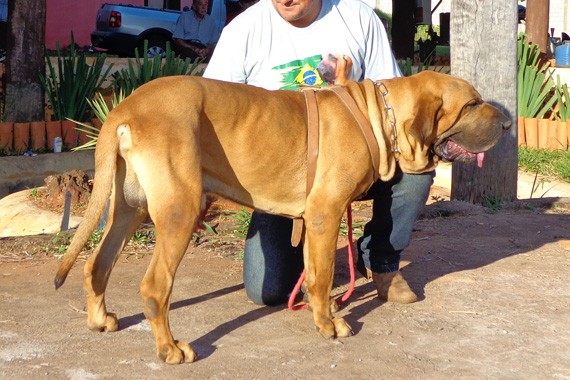 Vulcão do Itanhandu