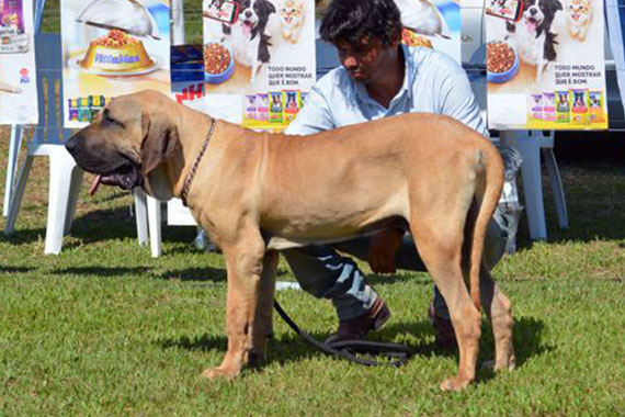 sultão recanto do livramento