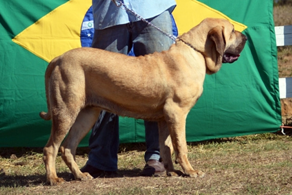 musa do aiuruoca