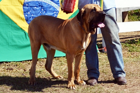 xamã do aiuruoca