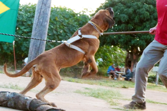 Igapó do Acangussu