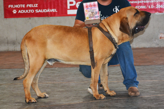 piloto do itanhandu