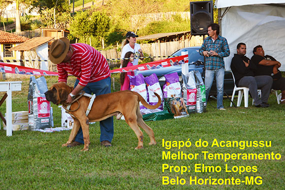 igapó do acangussú