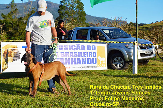 rara da chácare três irmãos