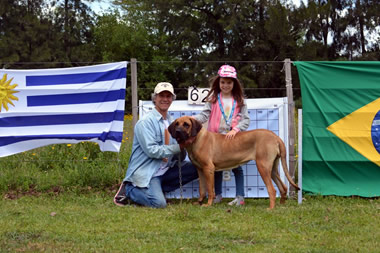 análisis uruguay