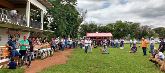 expo pará de minas