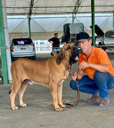 expo guará