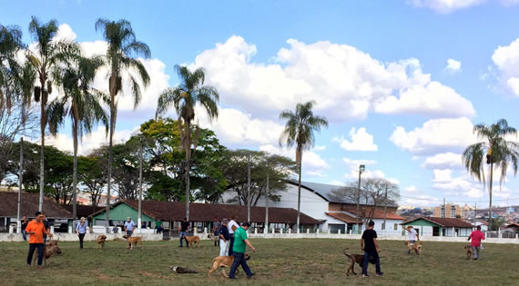 expo três corações