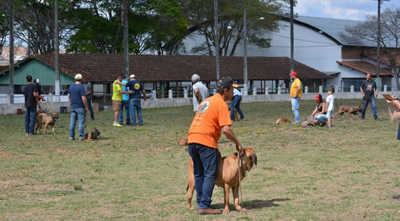 expo três corações