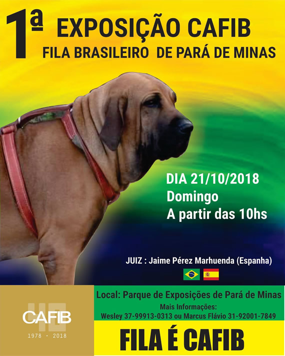 expo três corações