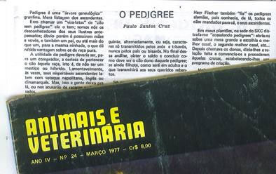 Fila brasileiro vs original fila brasileiro #ofb #filabrasileiro  #originalfilabrasileiro #cafib 
